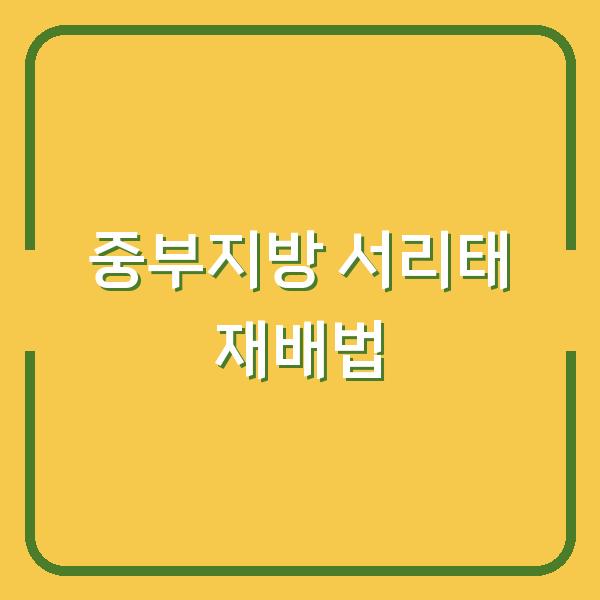 중부지방 서리태, 심는 시기와 재배법만 알면 수확량 2배