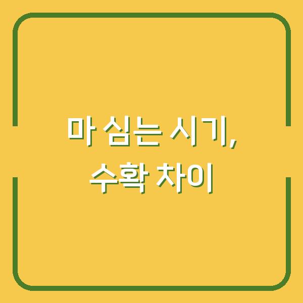 **마 심는 시기 놓치면 수확 망친다? 하늘마·산마 재배법 3가지 핵심 차이**