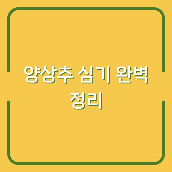양상추 심는 시기와 모종 심기, 파종 방법을 한 번에 정리해드립니다