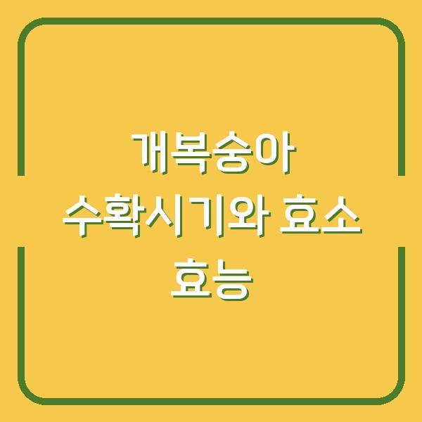 개복숭아 수확시기 놓치면 독이 되는 이유, 효소 효능까지 실전 활용법