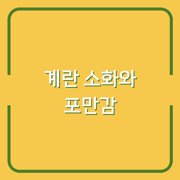 삶은계란과 후라이, 소화 속도와 포만감 지속시간은 어떻게 다를까?
