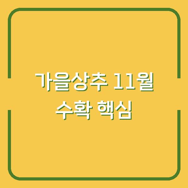 가을상추, 지금 심어야 11월까지 수확합니다 (파종·정식·물주기 핵심)