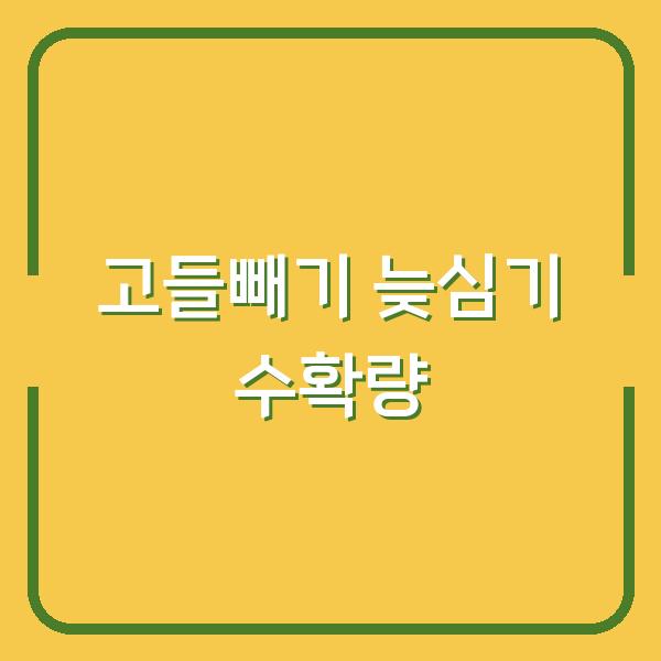 고들빼기 심는 시기 1주일 늦추면 수확량이 달라집니다 (파종·관리 방법)