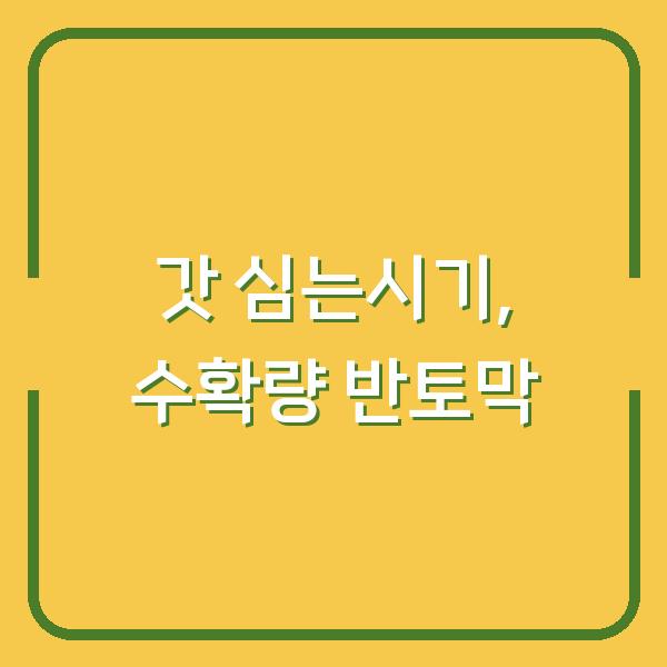 갓 심는시기 늦추면 수확량 반토막…파종 방법부터 재배 기간까지 실수 줄이는 법