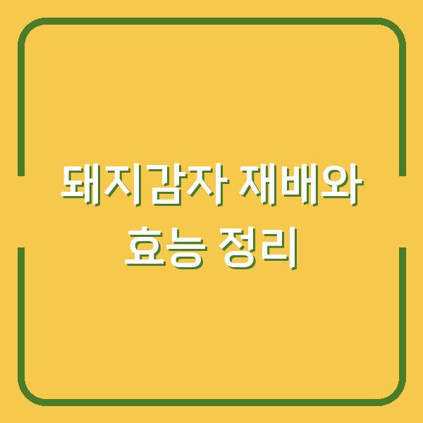 돼지감자 심는 시기와 재배 방법, 몰랐던 효능까지 한 번에 정리