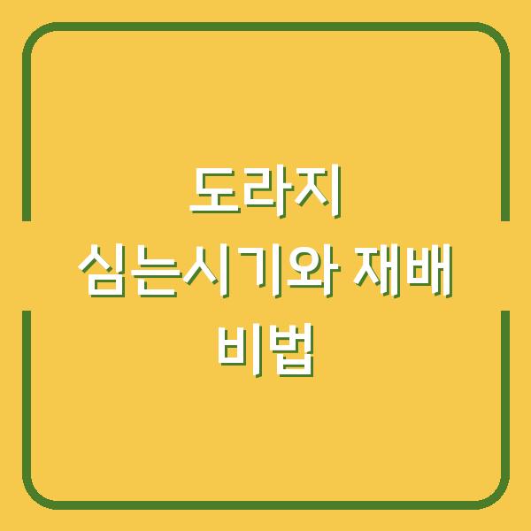 도라지 심는시기 놓치면 수확량 반토막…파종 방법과 재배 비법 3가지