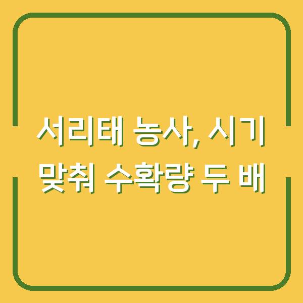서리태 농사, 심는 시기와 수확 시기 맞추면 수확량 두 배