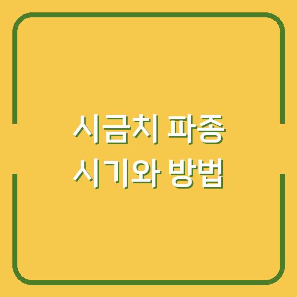 봄·가을·월동 시금치 심는 시기, 파종 방법 하나로 결판내세요