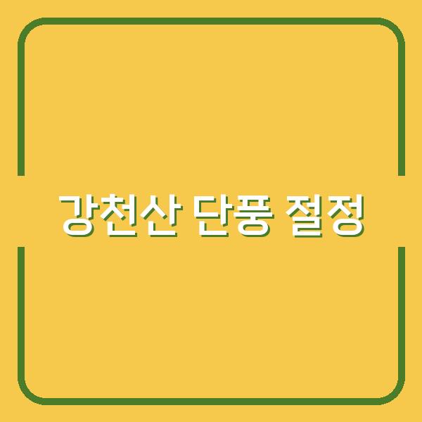 2026년 강천산 단풍 절정시기와 맞춤 날씨 체크법으로 최적 방문 시기 잡기