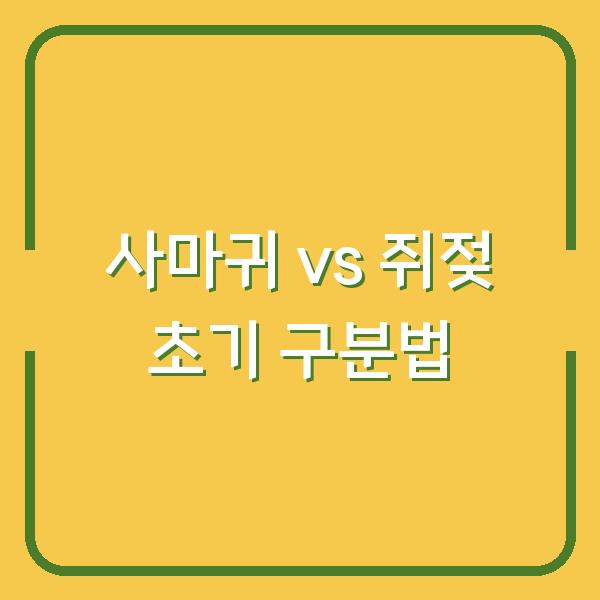 사마귀인 줄 알았는데 쥐젖? 초기 사진 비교로 내 피부 병변 구분하는 법