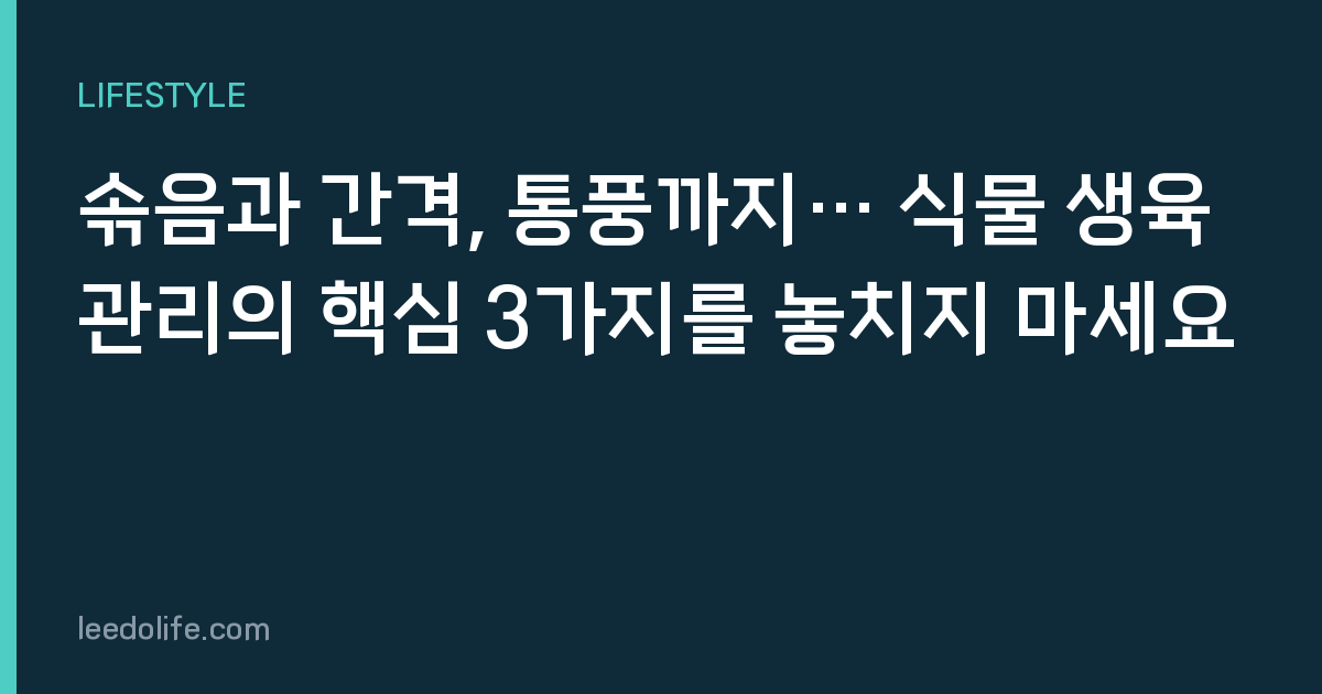 솎음과 간격, 통풍까지… 식물 생육 관리의 핵심 3가지를 놓치지 마세요