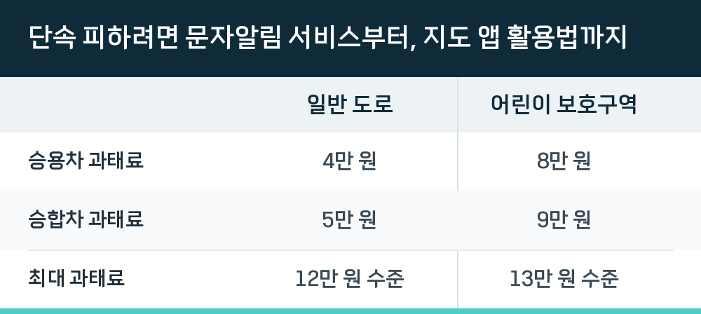 단속 피하려면 문자알림 서비스부터, 지도 앱 활용법까지