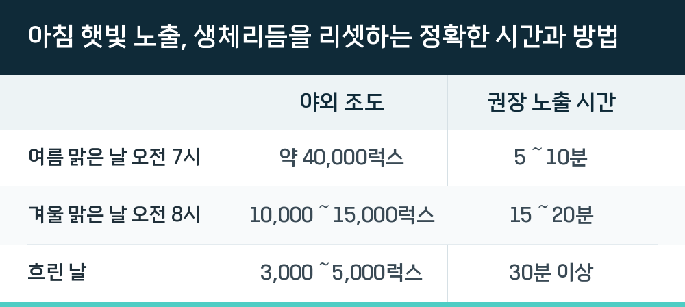 아침 햇빛 노출, 생체리듬을 리셋하는 정확한 시간과 방법
