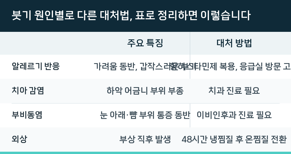 붓기 원인별로 다른 대처법, 표로 정리하면 이렇습니다