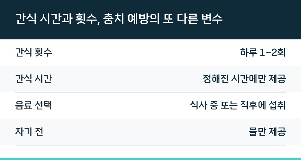 간식 시간과 횟수, 충치 예방의 또 다른 변수