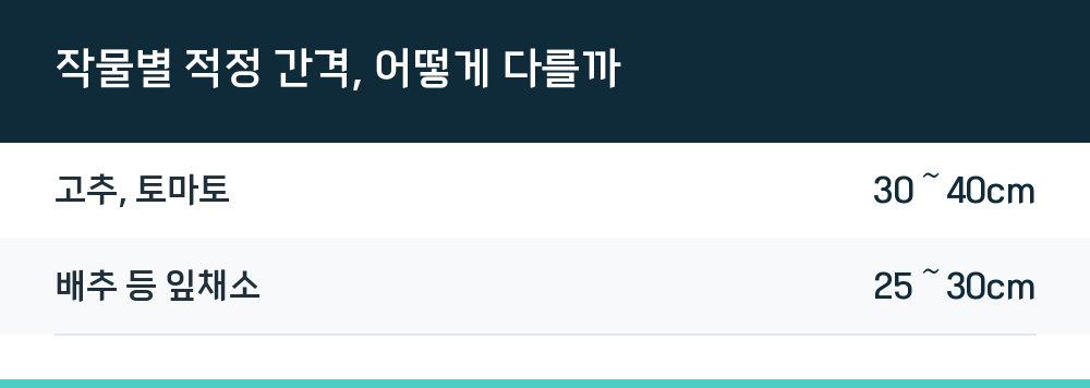 작물별 적정 간격, 어떻게 다를까