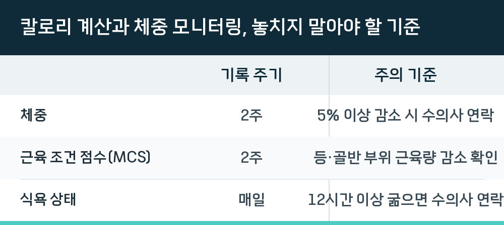 칼로리 계산과 체중 모니터링, 놓치지 말아야 할 기준